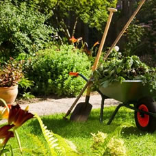 Entretien de jardins et de paysagiste avec Brunet Elagage Abattage