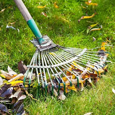 Evacuation des déchets verts avec Brunet Elagage Abattage